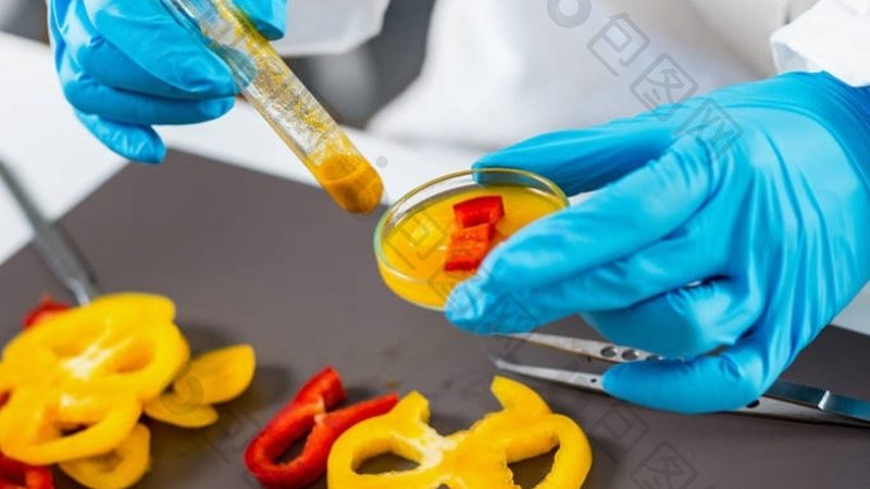 广州餐饮供应链：揭秘其背后的关键要素**